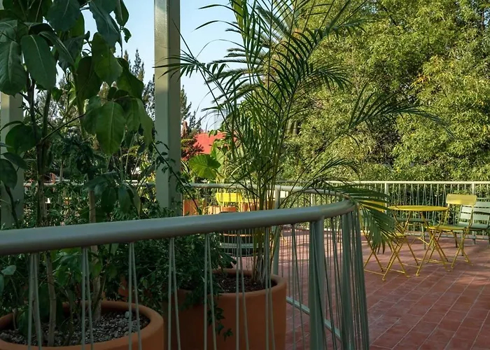 Apartment Cam 203
