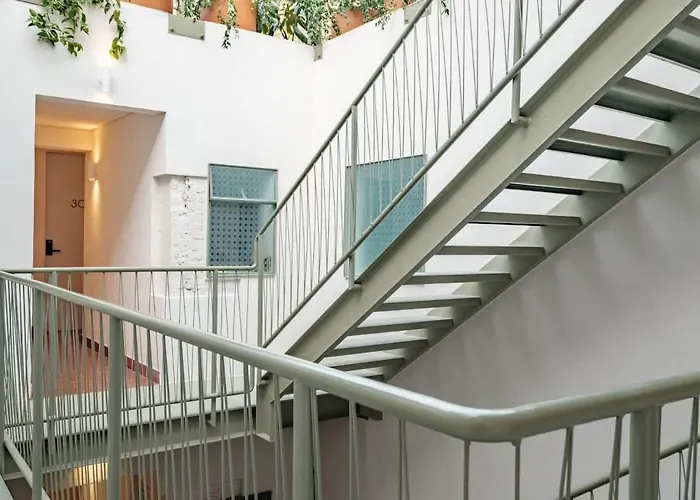 Cam 203 Apartment Mexico City